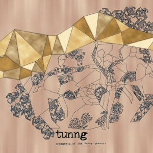 Tunng - Comments on the Inner Chorus